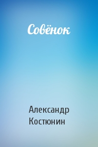 Совёнок Костюнин обложка.jpg