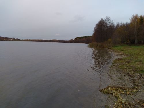 Рюмниковское озеро.jpeg